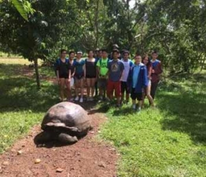 Group with tortoise