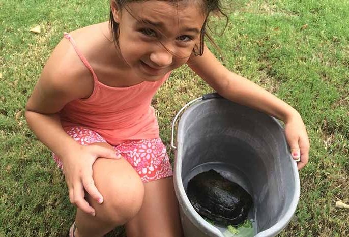 Gabriella and her rescued turtle